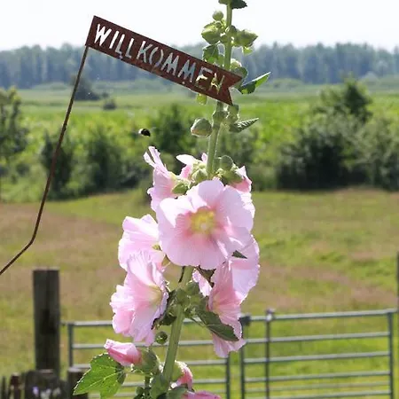 Ferienwohnung Vogelsang Suderhoft Buitenkant foto