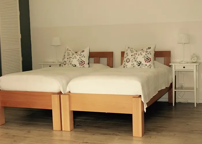 Ferienwohnung Vogelsang