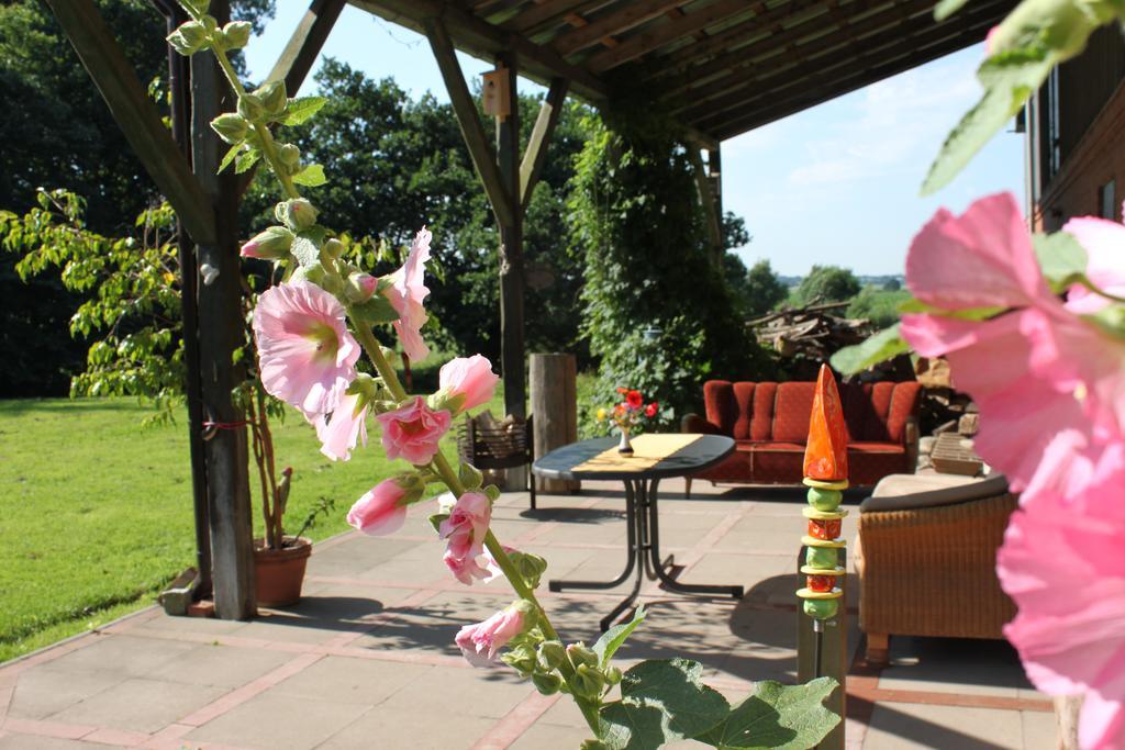 Vogelsang Apartment Suderhoft